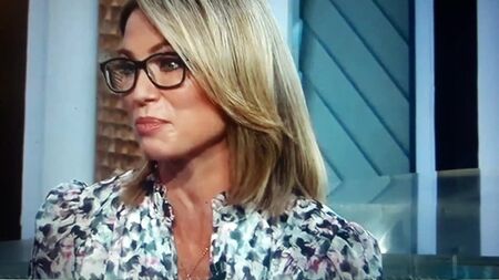 Amy Robach legs