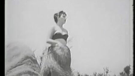 1950's pin-up girl