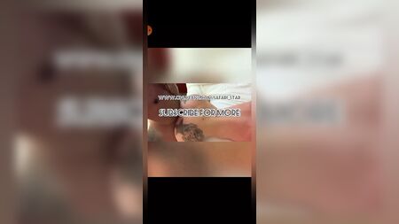 Ts Safari Star compilation