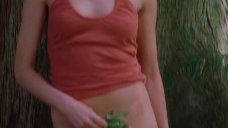 We Don't Live Here Anymore (2004)
