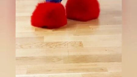 red fluffy heels