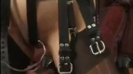 Harness bondage