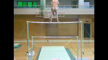 Romanian gymnast Corina Ungureanu works out naked