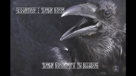 Skogarmaor - Black Raven (lyric video)